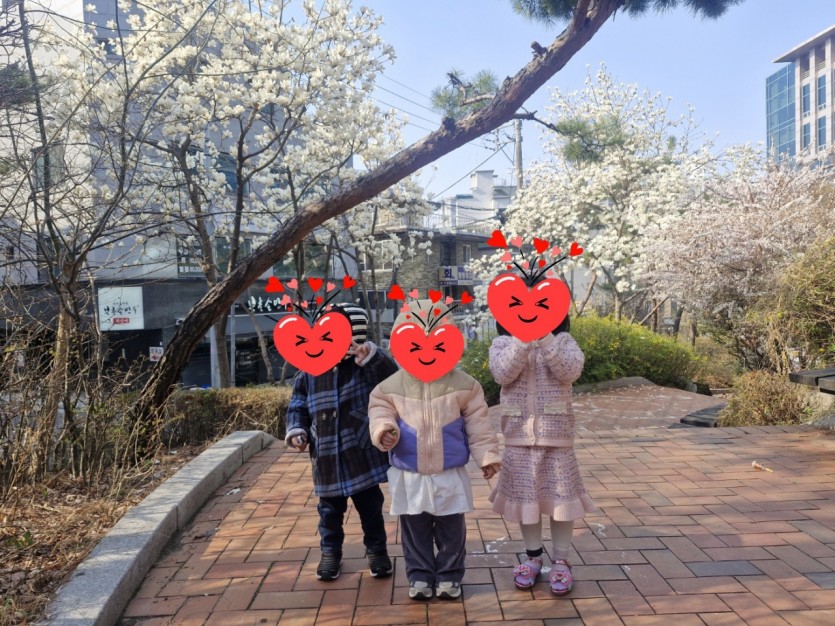 5bdd089d393c3421b1d9927bdde006b8_1744610817_5713.jpg